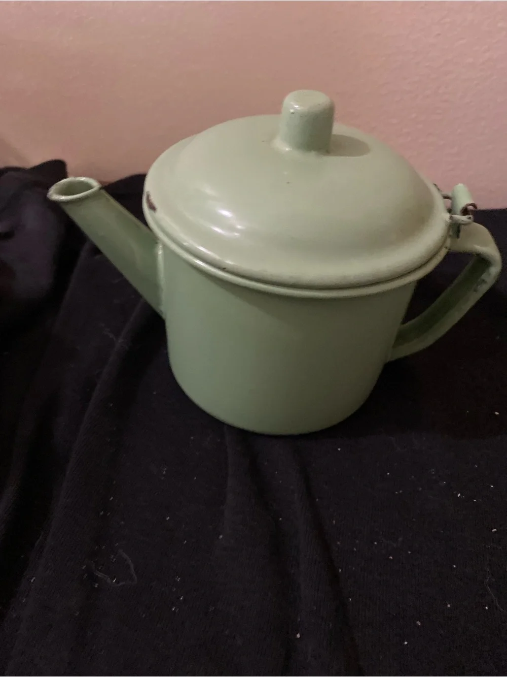 Source Unknown Pale Green Enamel Teapot